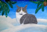 Усіченко Поліна 10 років.Котик на снігу